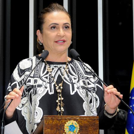 Kátia Abreu (PDT-TO) e Tasso Jereissati tiraram suas assinaturas do pedido de abertura da CPI - Waldemir Barreto/Agência Senado