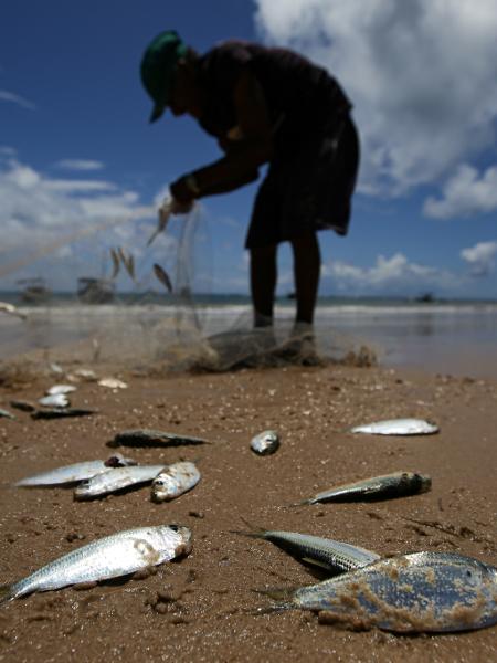 Pescadores catam sardinhas na praia da Espera em Itacimirim, na Bahia - Raul Spinassé/Folhapress