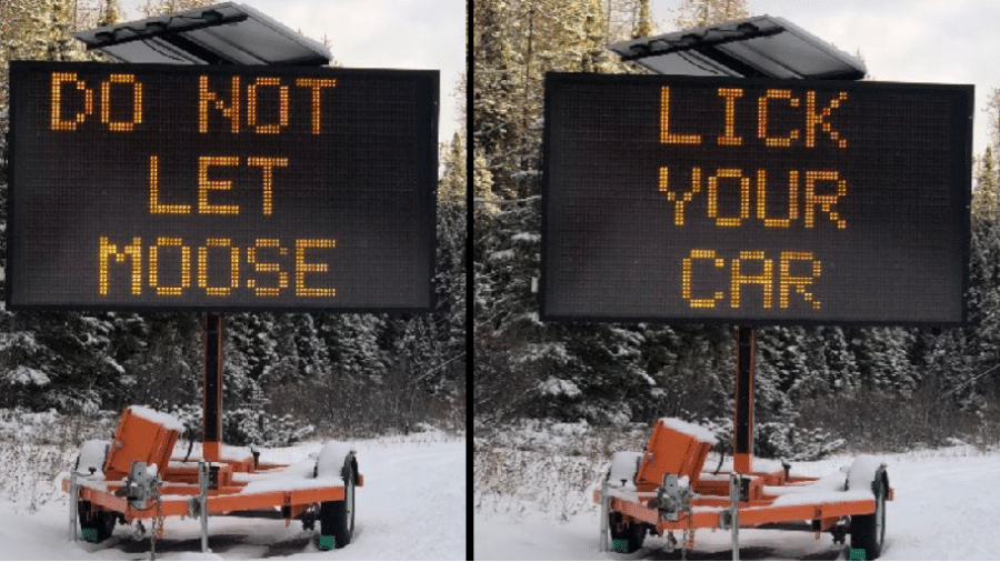 Textos de placas na estrada alertam motoristas para não deixar alces lamberem seus carros - Reprodução/Twitter/@_CLCampbell