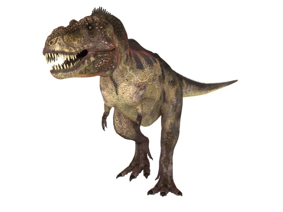 T Rex N.Y Online em Jogos na Internet