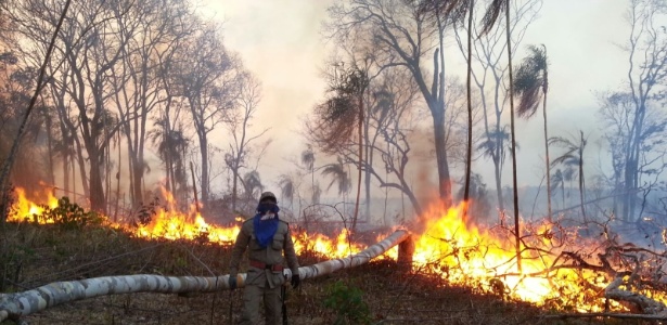 Homem participa de combate ao incêndio florestal no Maranhão - Divulgação/Corpo de Bombeiros do Maranhão
