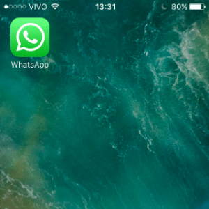 Reprodução Reprodução