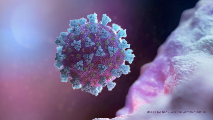 Imagem de computador representando o novo coronavírus - Social Media