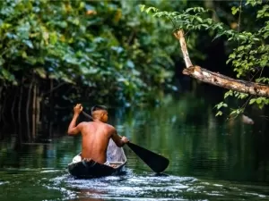 Dia da Terra: saiba mais sobre a importância da Amazônia