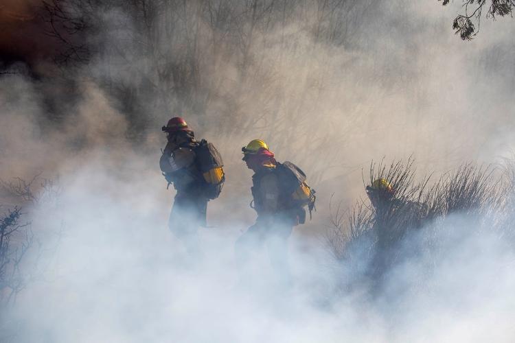 Incêndio Eaton atinge floresta em Altadena, na Califórnia