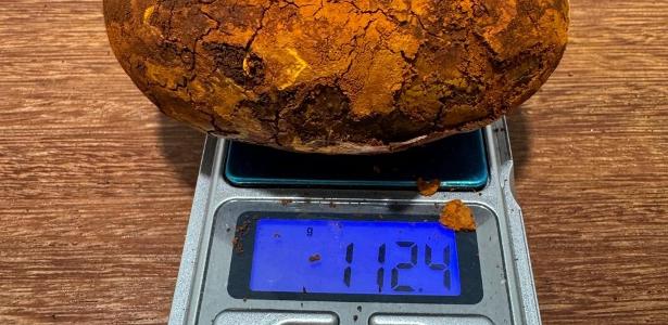 Por que esta pedra, que cresce na vesícula do boi, vale o dobro do ouro