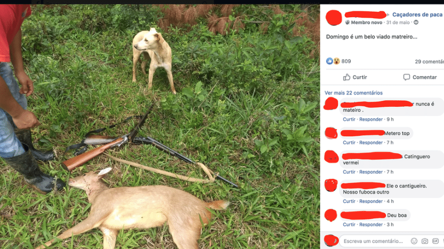 Questionado pela reportagem, o Facebook tirou do ar o grupo "Caçadores de paca" por violar regras ao retratar ou promover violência física contra animais - Reprodução/Facebook