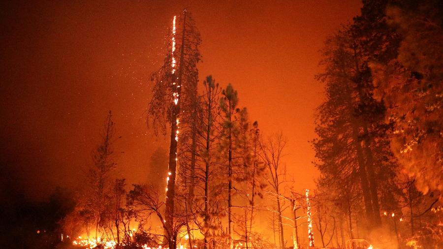 22.jul.2022 - Incêndio florestal nomeado "Oak" em Darrah, no condado de Mariposa, no estado da Califórnia, nos Estados Unidos. - REUTERS/David Swanson