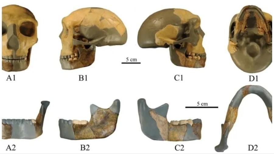 O crânio de antigo hominídeo foi encontrado por  na China