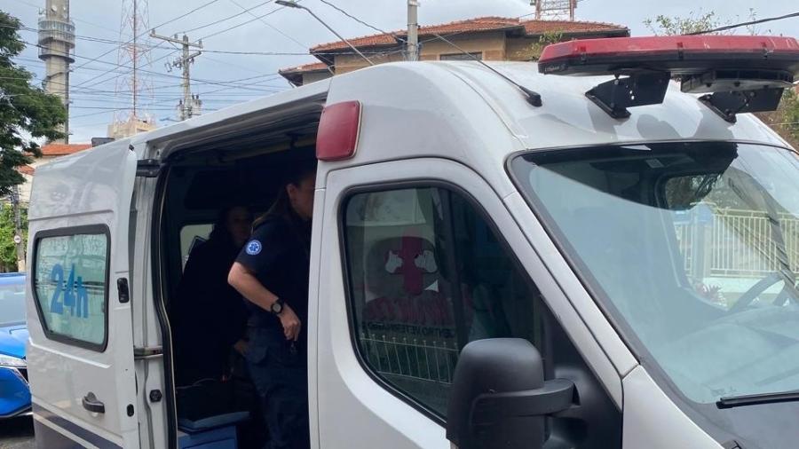 Ambulância utilizada na remoção de animais é não é personalizada