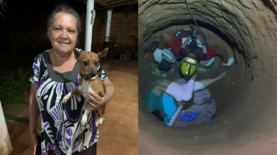 Cachorro 'chama por ajuda' para salvar idosa que caiu em cisterna em MG