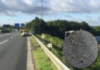 Gosma de caracóis provoca acidente em estrada na Alemanha - Reprodução/Facebook/Polizei NRW Bielefeld/