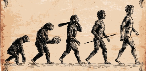 O estilo de andar e a estrutura de grupo do Homo erectus eram similares às dos seres humanos atuais - iStock