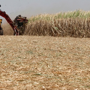 Mais de 80% dos focos de calor em SP estão em áreas de agropecuária