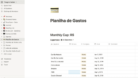 Notion - lista de gastos - Reprodução - Reprodução