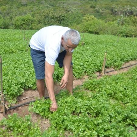O agricultor Danilo Morais trabalha em cooperativa em Maranguape (CE) - Arquivo pessoal