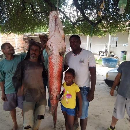 Peixe de dois metros atraiu atenção de crianças da região Peixe de dois metros atraiu atenção de crianças da região