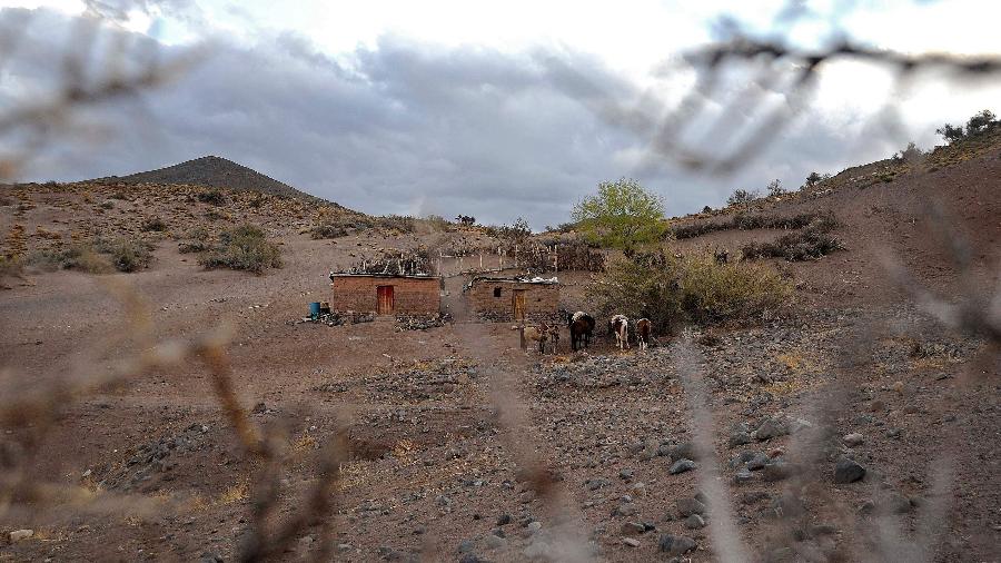 20.out.2019 - Produção de cabras na Argentina é afetada pelo aquecimento global - Andres Larrovere - 20.out.2019/AFP