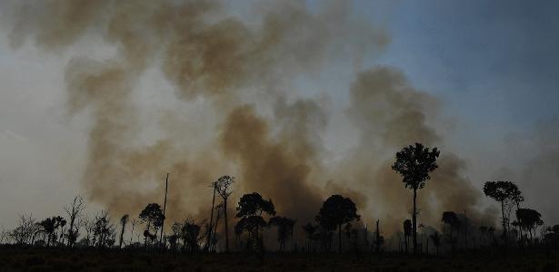 Na amazônia, a realidade é pior do que disse o IPCC - Vimarsana News
