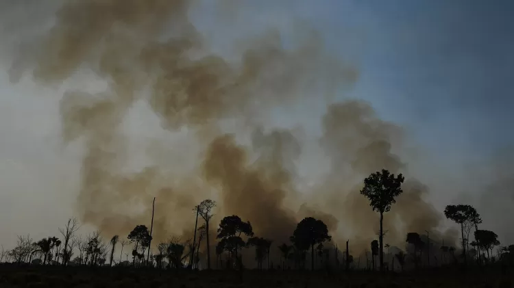 16.ago.2020 - Imagem mostra incêndio na região de Novo Progresso (PA), na Amazônia - Carl de Souza/AFP - Carl de Souza/AFP