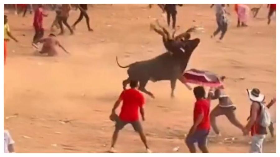Duas pessoas morreram após provocarem o touro durante o festival