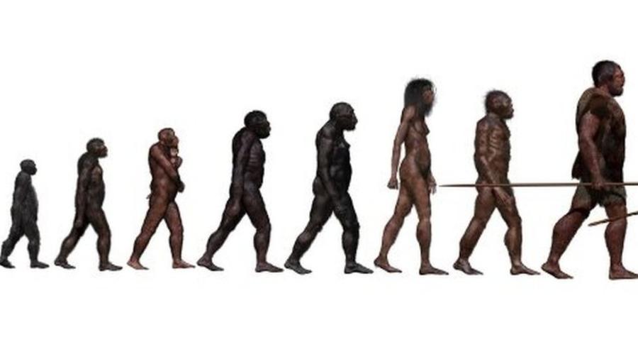 A história da evolução humana está se tornando mais complexa do que esta imagem indica - Science Photo Library