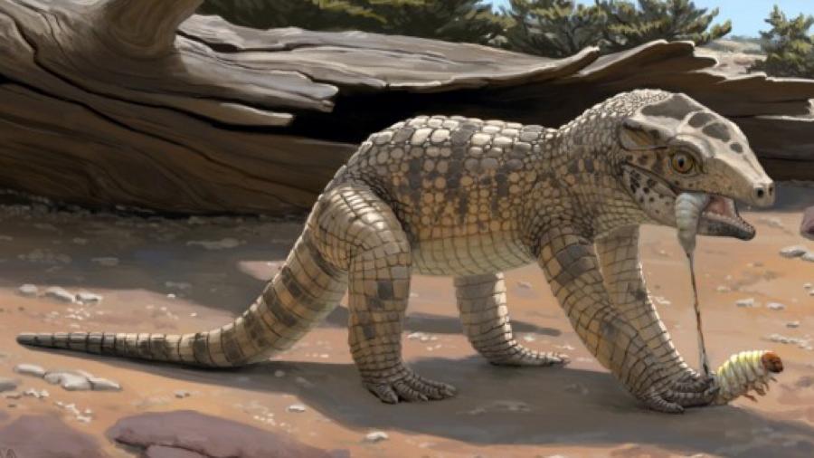 Arte simula como seria o pequeno crocodilo; nova espécie é a primeira descoberta na Formação Uberaba, em MG - Reprodução/ Júlia d"Oliveira/ UFTM