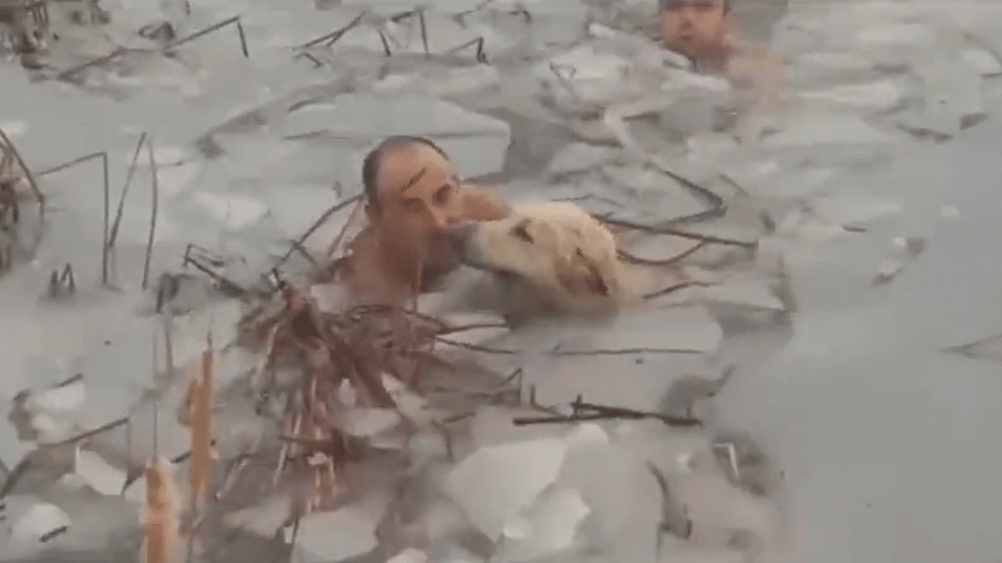 Policiais pulam em lago congelado para salvar cachorro na Espanha - @guardiacivil/Twitter