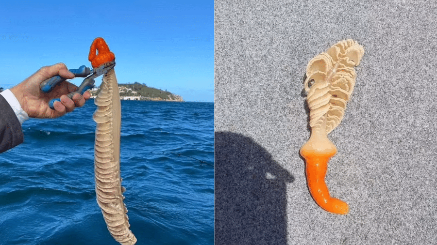 Criatura foi encontrada por pescador em Vitória, na Austrália. Ele pediu ajuda em um grupo do Facebook para identificar a espécie