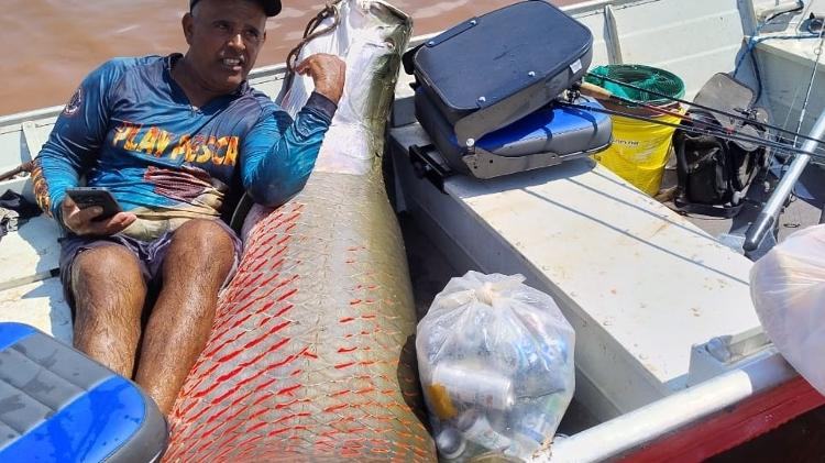 Pirarucu fisgado no rio Grande, no interior de SP