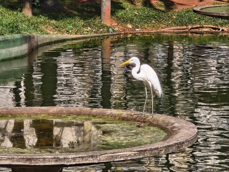 Zoom de 10x com o Edge 60 pro Zoom de 10x com o Edge 60 pro