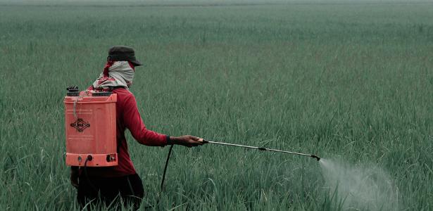 STF decide manter incentivos fiscais a agrotóxicos no Brasil
