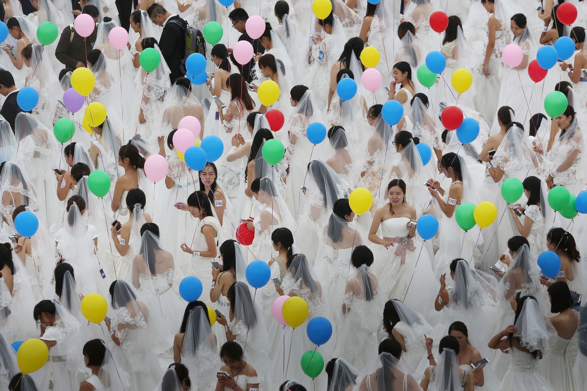 O Carnaval dos Animais, OSP para Crianças