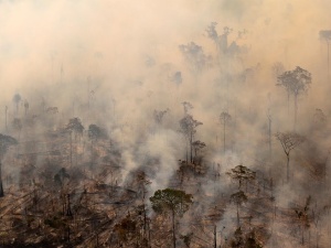 Brasil deve cortar 81% das emissões de gases estufa, propõe ONG