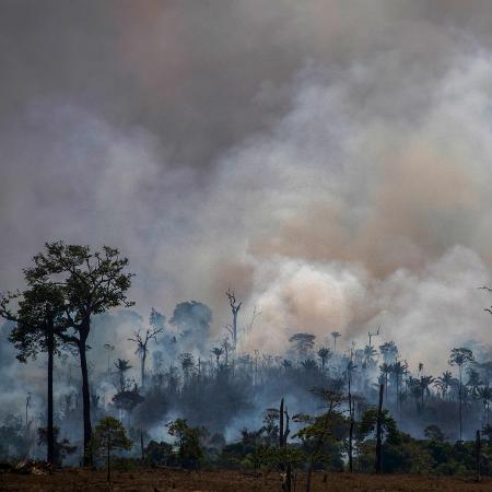 Queimadas na Amazônia são foco de preocupação - Joao Laet / AFP