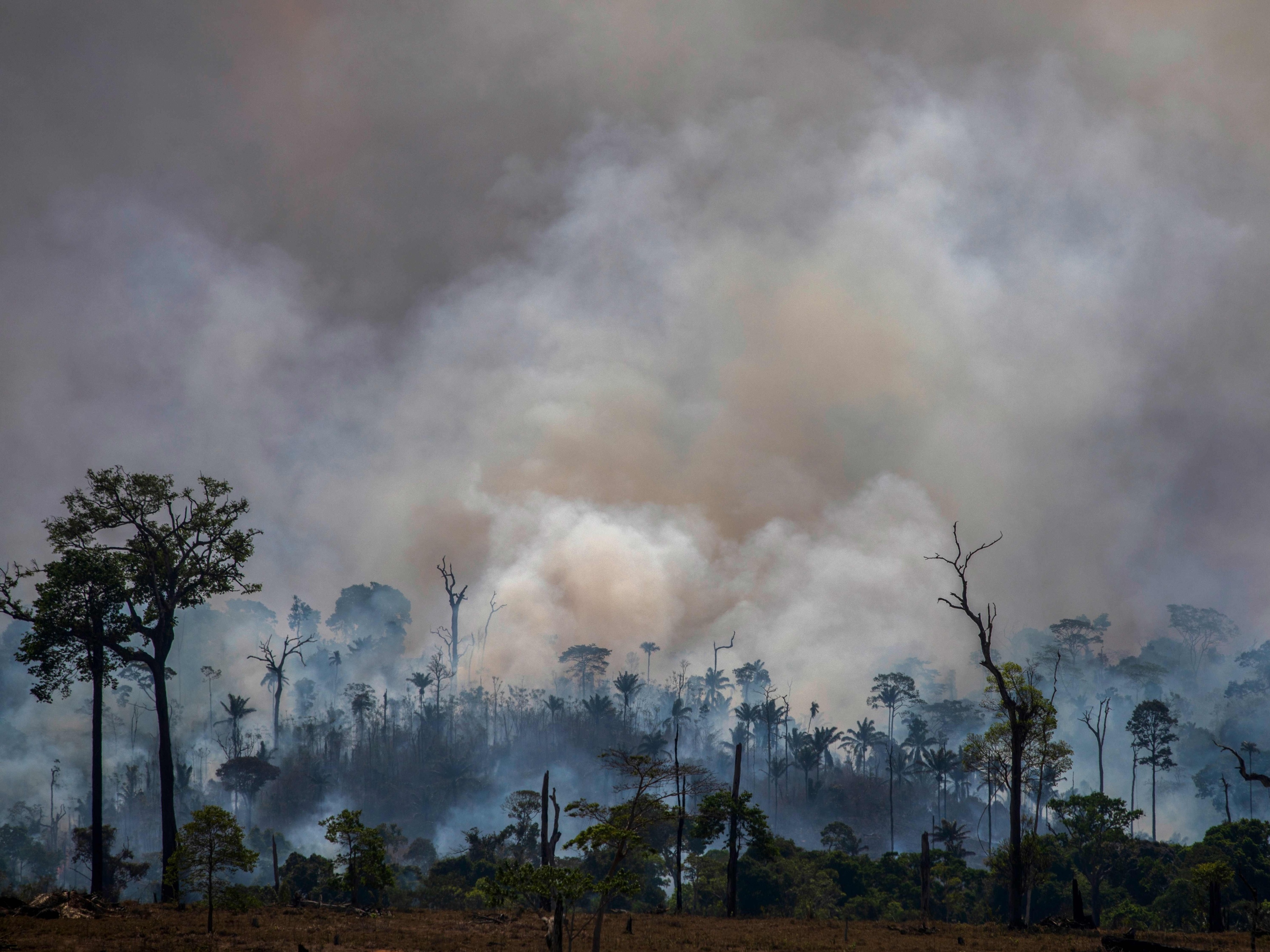 O ar é insuportável”: Os impactos das queimadas associadas ao desmatamento  da Amazônia brasileira na saúde