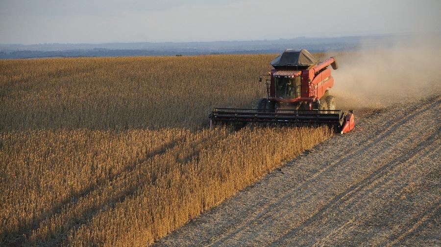 Cultivo grãos fazenda agricultura - Charles Echer/ Pixabay