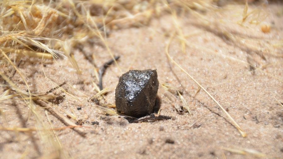 Meteorito de 2018 encontrado no deserto de Kalahari, em Botsuana, pode ser um pedaço de Vesta - Divulgação/SETI Institute