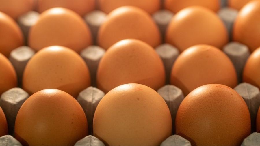 Estados Unidos, Reino Unido, Portugal e Nova Zelândia estão entre os países que enfrentam disparada de preços e falta de ovos neste início de ano. No Brasil, produção deve encolher pelo segundo ano seguido e preços tendem a continuar elevados - Getty Images