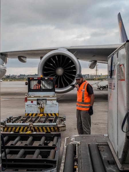 Avião com destino para Frankfurt na Alemanha, recebe carga no terminal de cargas do Aeroporto Internacional de Guarulhos Avião com destino para Frankfurt na Alemanha, recebe carga no terminal de cargas do Aeroporto Internacional de Guarulhos