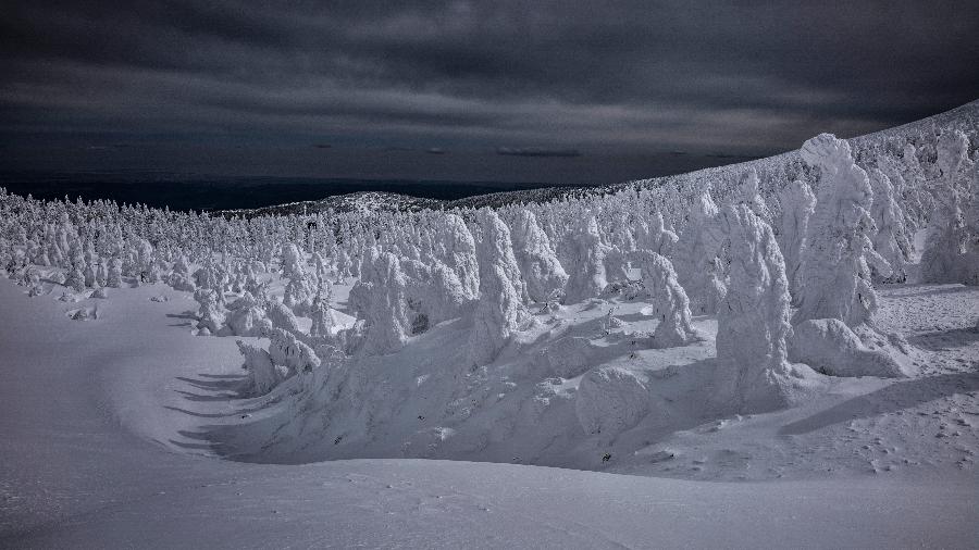 Floresta coberta por "monstros" de neve, no monte Zao, no Japão - James Whitlow Delano/The New York Times