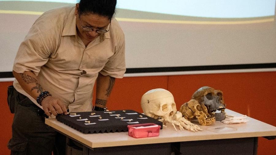 Arqueólogos apresentam ossos do Homo luzonensis - Noel Celis/AFP