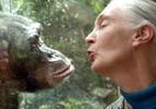 Jane Goodall: a primatologista que mudou o conhecimento humano sobre os chimpanzés - Getty Images