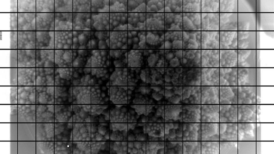 A cabeça de um brócolis romanesco foi captada nos 3.200 megapixels da câmera do Observatório Vera Rubin  - LSST Camera Team/Slac/VRO
