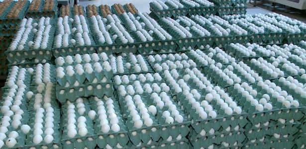 Gripe aviária: Como embargos podem mudar o preço dos ovos no Brasil