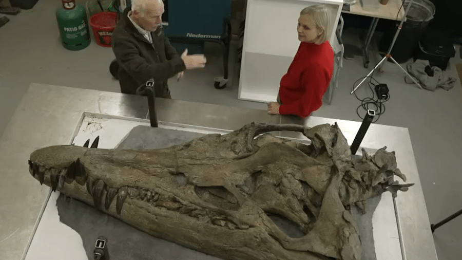 O crânio é um dos fósseis mais completos e preservados de um pliossauro na história da paleontologia