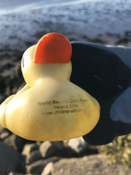 Exemplar de pato de borracha da Corrida de Patos de Borracha de Dublin, encontrado em 2021