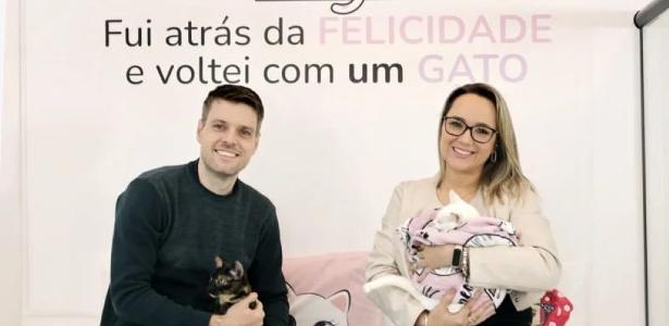 Casal fatura R$ 1 mi com "cafeteria de gatos" e ajuda pets a ganhar um lar