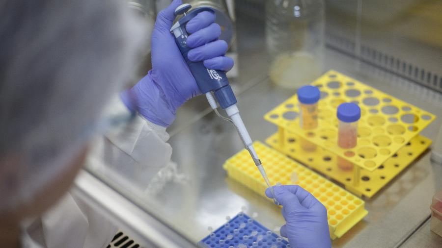 Universidade Federal do Rio de Janeiro desenvolve novo programa de testes para coronavírus - Andre Coelho/Getty Images