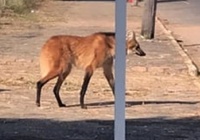 Reprodução/Facebook